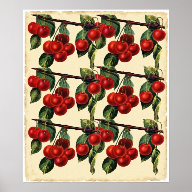Anque Red Cherry Fruit Tapet design Poster (Framsidan)