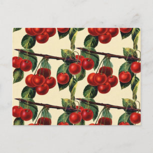 Anque Red Cherry Fruit Tapet design Vykort