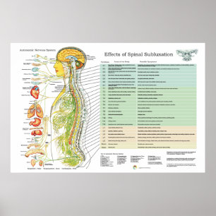 ANS för nerver för ChiropracticSubluxation Poster