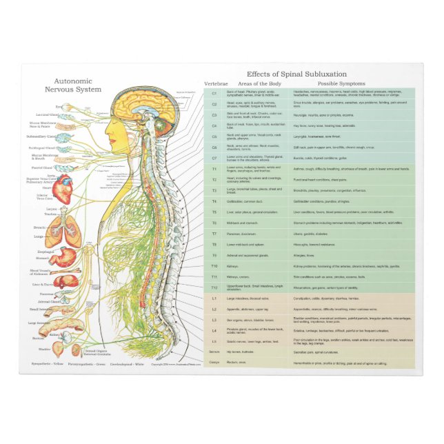 ANS-subluxeringseffekter Tona av Dynor Anteckningsblock (Framsida)