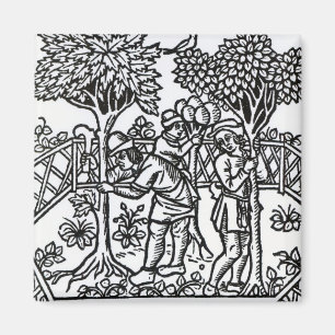 Ansa Vines Magnet