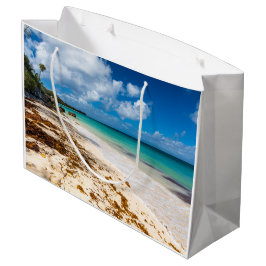 Anse Canot-stranden på Marie-Galante