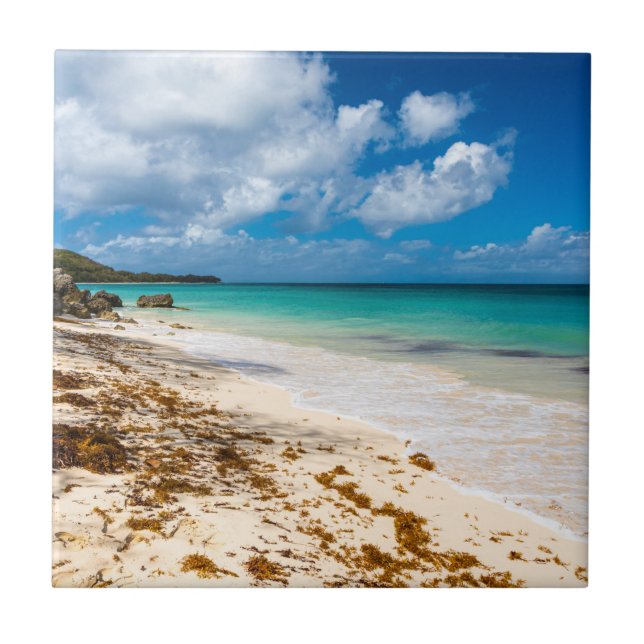 Anse Canot-stranden på Marie-Galante Kakelplatta (Framsidan)