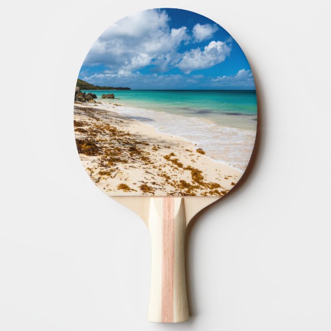 Anse Canot-stranden på Marie-Galante Pingisracket (Baksidan)