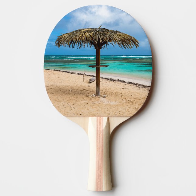 Anse des Rochers strand Pingisracket (Baksidan)