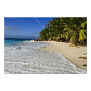 Anse Victorin Beach 2 Fototryck