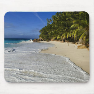 Anse Victorin Beach 2 Musmatta