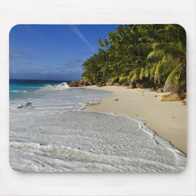 Anse Victorin Beach 2 Musmatta (Framsidan)