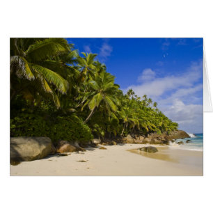 Anse Victorin Beach 3 Hälsningskort