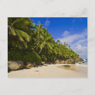 Anse Victorin Beach 3 Vykort