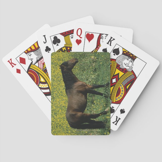 Anseende för vildMustanghäst i blommor Kortlek (Baksidan)