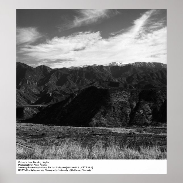 Ansel Adams odlingar nära Banning Heights Poster (Framsidan)
