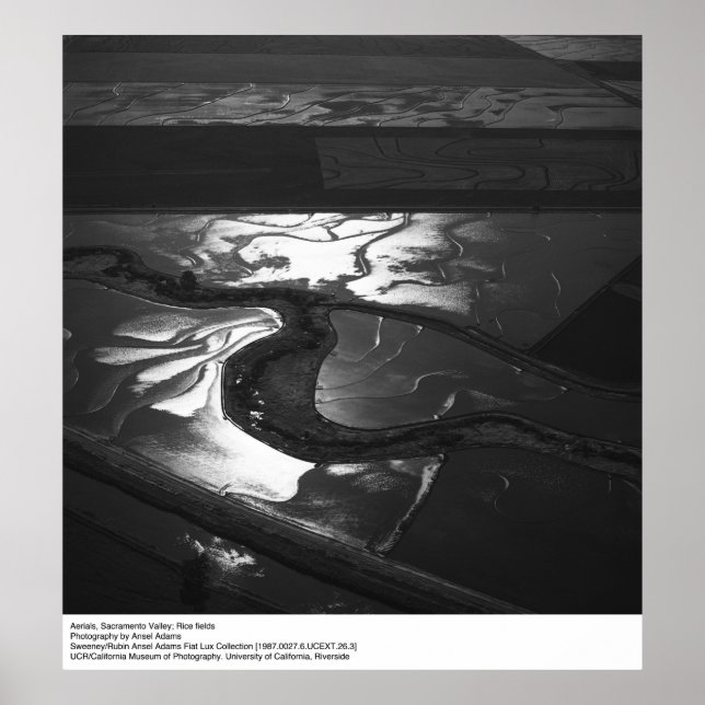 Ansel Adams syn på Sacramento-dalen Poster (Framsidan)