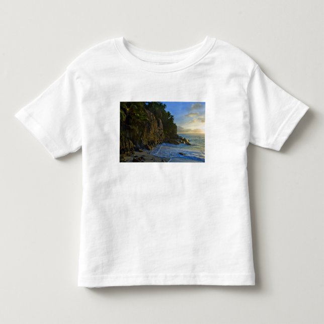 Ansi Victorin Strand 2 T Shirt (Framsida)