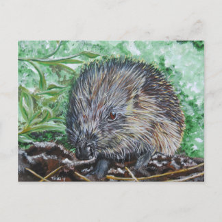 Ansichtkaart Egel. Vykort