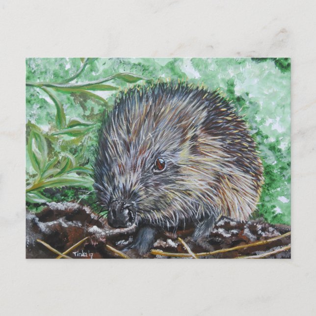 Ansichtkaart Egel. Vykort (Framsida)