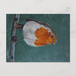 Ansichtkaart Roodborst. Vykort