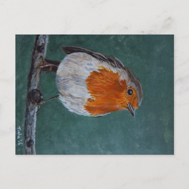 Ansichtkaart Roodborst. Vykort (Framsida)