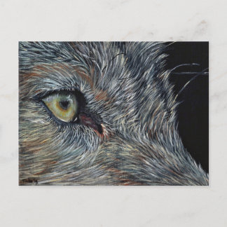 Ansichtkaart Varg Vykort