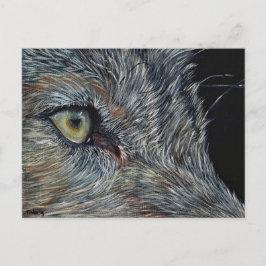 Ansichtkaart Varg Vykort