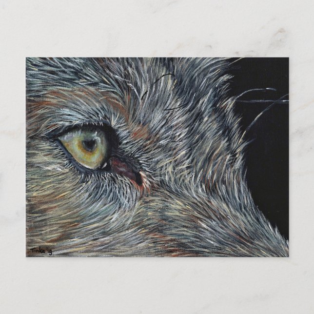 Ansichtkaart Varg Vykort (Framsida)