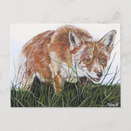 Ansichtkaart Vos. Vykort