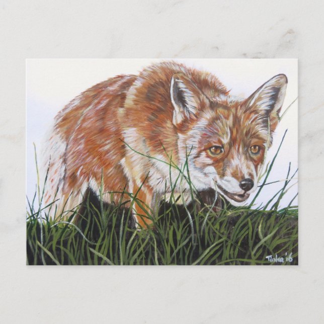 Ansichtkaart Vos. Vykort (Framsida)