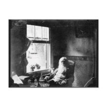 Ansikte alltid till solskenet: Whitman på Mickle S