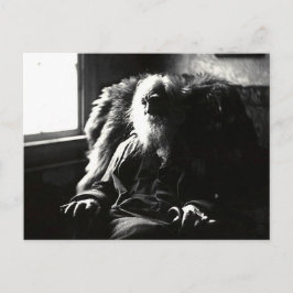 "Ansikte Alltid till Sunshine" Mickle Street Camde Vykort