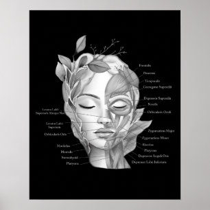 Ansikte Anatomiskt bildande muskler med spa decor Poster