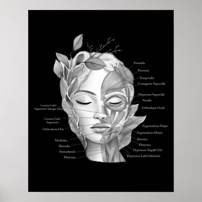 Ansikte Anatomiskt bildande muskler med spa decor Poster (Framsidan)