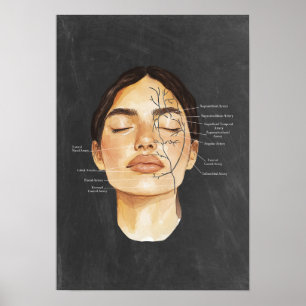 Ansikte Anatomiskt blodkärl Anatomiskt konst Poster