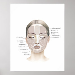 Ansikte Anatomy Beauty Art Poster