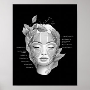 Ansikte Anatomy Tjock Pad Beautician Decor Poster