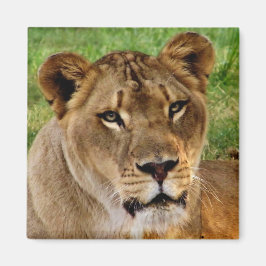 Ansikte av en drottning magnet