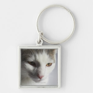 Ansikte av en katt fyrkantig silverfärgad nyckelring