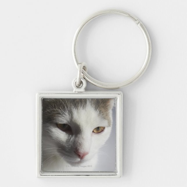 Ansikte av en katt fyrkantig silverfärgad nyckelring (Framsidan)