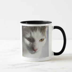 Ansikte av en katt mugg
