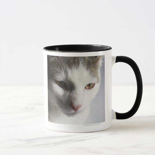 Ansikte av en katt mugg (Höger)