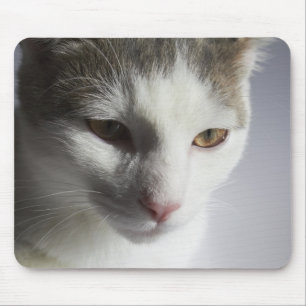 Ansikte av en katt musmatta
