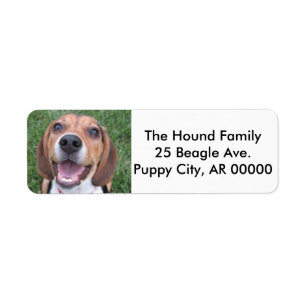 Ansikte Beagle Returadress Etikett