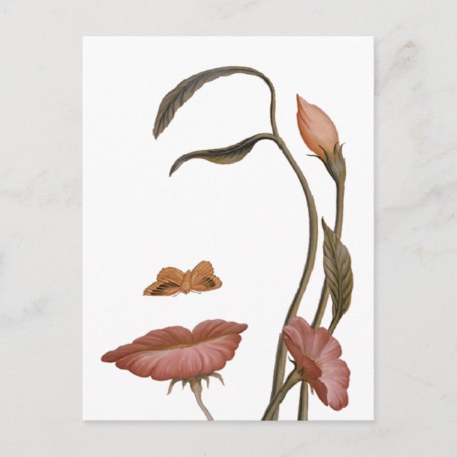 Ansikte Flower Illusion Vykort (Framsida)