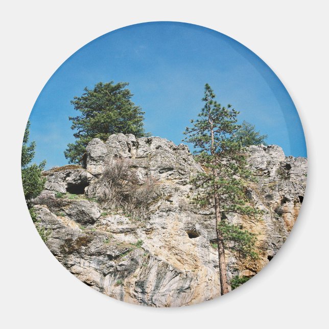 Ansikte... Magnet (Framsidan)