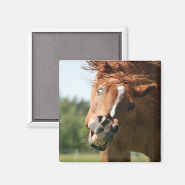 Ansikte med Curled Läppar, Crazy Öga Magnet (Front/Back)