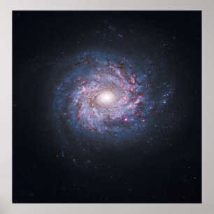 Ansikte på Spiral Galaxy NGC 3982 från Hubble Poster