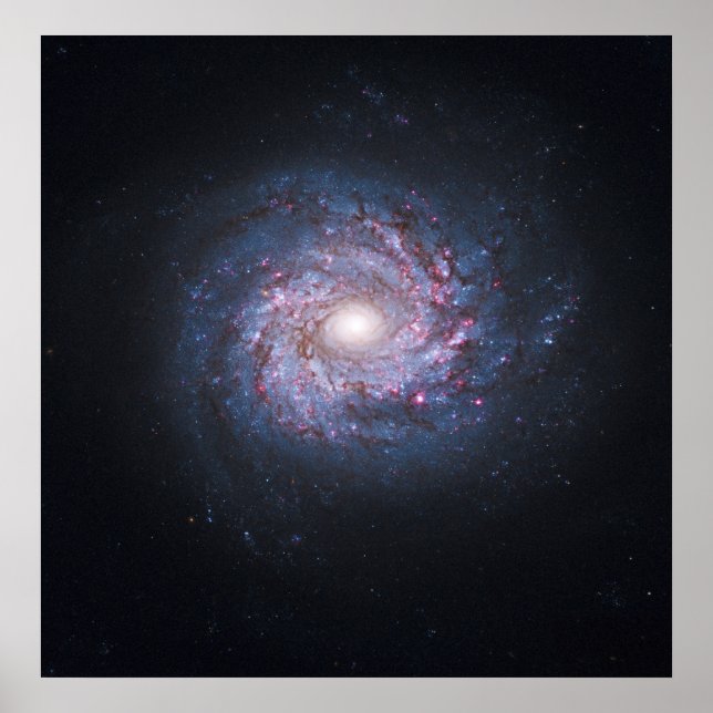 Ansikte på Spiral Galaxy NGC 3982 från Hubble Poster (Framsidan)