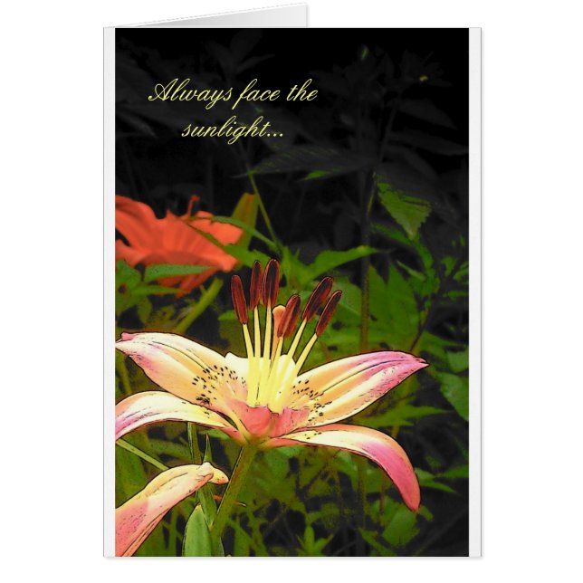 Ansikte Solljuset Hälsningskort (Framsidan)