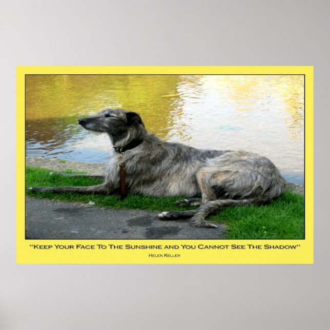 Ansikte Solsken, tryck (Framsidan)