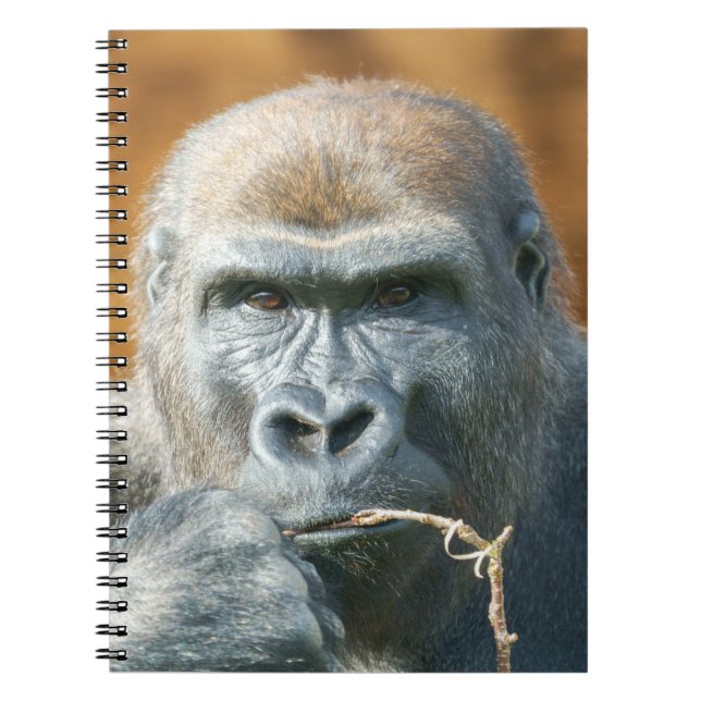 Ansikte-till-Ansikte med Gorilla Anteckningsbok (Framsidan)