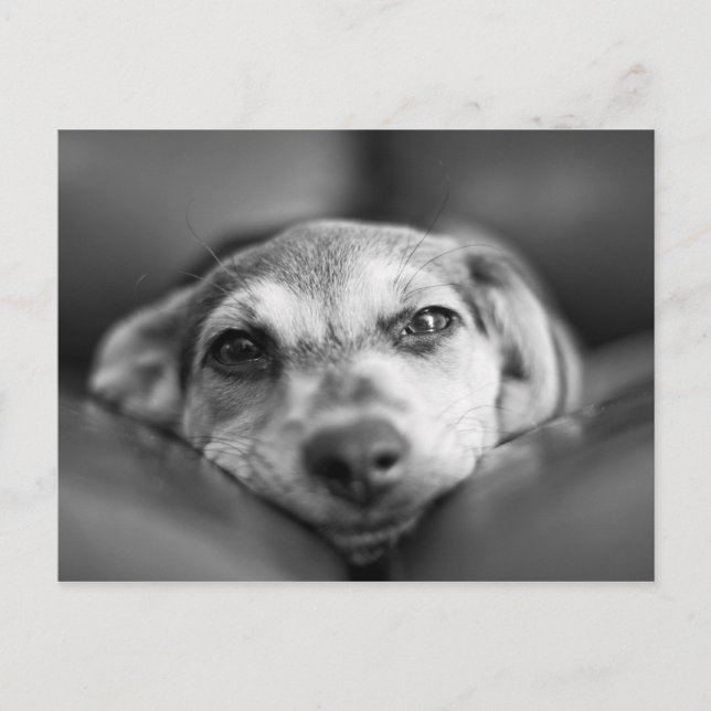 Ansikte till Ansikte Vykort (Framsida)